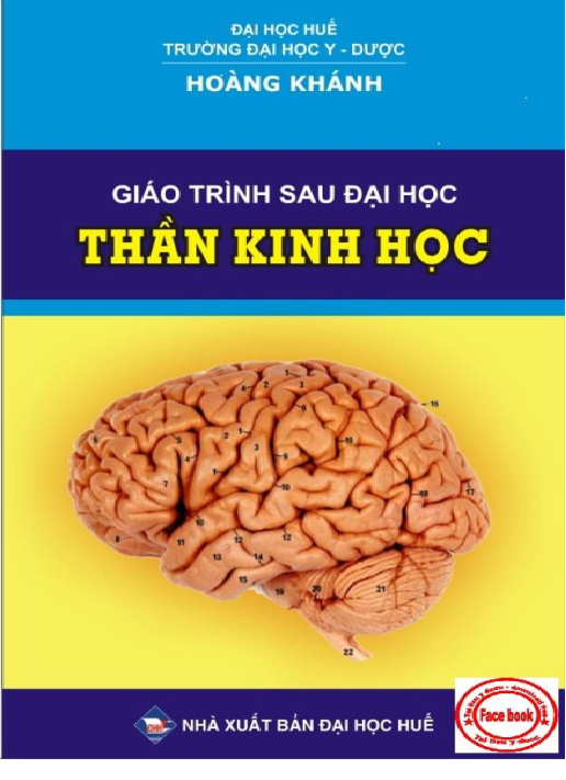 Giáo trình sau Đại học - Thần kinh học
